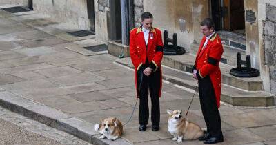 Queen Elizabeth is being 'missed' by her corgis, says a former trainer - www.msn.com - city Sandy