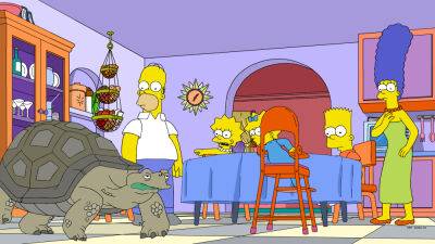 Watch Homer Go Down a Conspiracy Hole as ‘The Simpsons’ Season 34 Opener Pays Homage to ‘Don’t F**k With Cats’ (EXCLUSIVE) - variety.com - Netflix