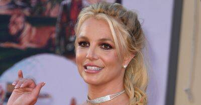 Britney Spears rages she would 'rather s*** in my pool' than rejoin entertainment business - www.ok.co.uk - state Mississippi