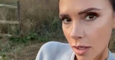 Victoria Beckham shows off David’s incredible organic honey harvest and Cotswolds mansion - www.ok.co.uk
