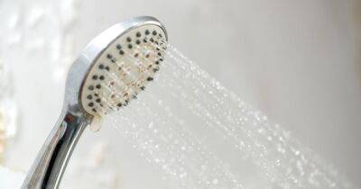 Woman tries viral 17p hack for cleaning shower head with 'gross' results - www.dailyrecord.co.uk