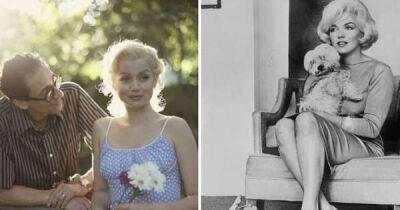 Ana de Armas’ own dog Elvis plays Marilyn Monroe’s pet in Netflix biopic - www.msn.com - Cuba - Malta - state Delaware