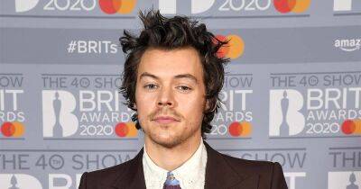 Harry Styles’ Beauty Brand Pleasing Launches Multifunctional Makeup With Designer Marco Ribeiro - www.usmagazine.com - Poland