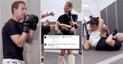 Mark Zuckerberg posts footage of MMA training - Conor McGregor & Joe Rogan are impressed - www.msn.com