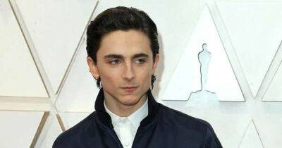 Timothée Chalamet: 'Societal collapse is in the air because of social media' - www.msn.com