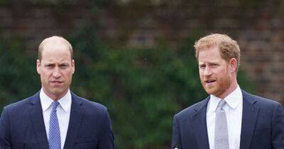 Prince Harry 'wants mediator to mend relationship' with brother William amid feud - www.ok.co.uk - California - county Williams