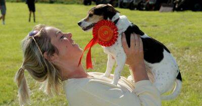 Kirkgunzeon Gala raises the woof thanks to dog show - www.dailyrecord.co.uk - Scotland
