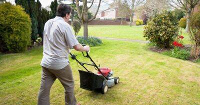 Resident's neighbour forcibly mows lawn then demands payment - www.dailyrecord.co.uk