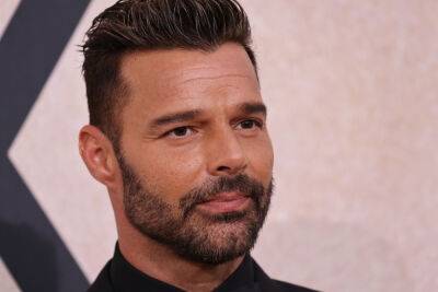 Ricky Martin Launches $20M Lawsuit Against Nephew Who Alleged Sexual Abuse - etcanada.com - city Sanchez