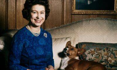Queen Elizabeth’s love for corgis: What will happen to her adorable dogs? - us.hola.com - Britain