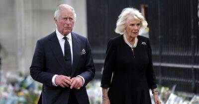 Duchess Camilla Wears Diamond Brooch With First Outfit as Queen Consort — Here’s Why - www.usmagazine.com - Britain