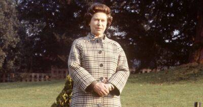 Inside the Fabulous Life of Queen Elizabeth II’s Corgis - www.usmagazine.com - Britain - county Buckingham
