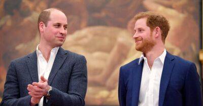 Prince Harry and William feud could be fuelled by 'sibling rivalry' due to birth order - www.dailyrecord.co.uk