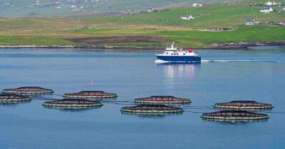UK Government to fund new lifeline ferry for remote Scots island - www.dailyrecord.co.uk - Britain - Scotland