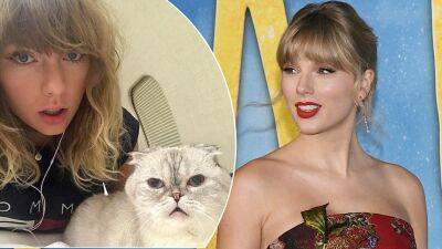 How Taylor Swift’s puss made $97million - heatworld.com - Scotland