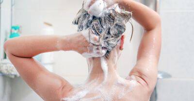 Hairdresser explains why she 'never' shampoos hair just once during wash - www.dailyrecord.co.uk - New Zealand
