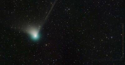 'Green comet' last spotted 50,000 years ago visible in UK skies - www.dailyrecord.co.uk - Britain - Scotland - California