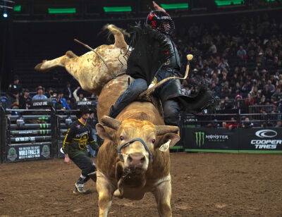 Prime Video Greenlights ‘The Ride’ Docuseries About Professional Bull Riders - deadline.com - USA