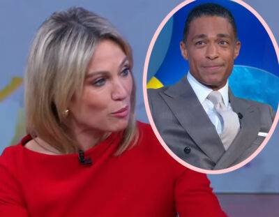ABC Execs 'Can't Fire' Amy Robach & T.J. Holmes, Looking For Alternative 'Punishment': REPORT - perezhilton.com