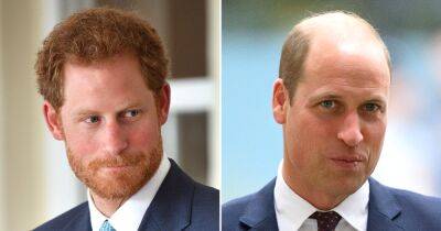 Prince Harry Calls Prince William’s Baldness ‘Alarming’ and ‘Advanced’: His Resemblance to Mom Diana Is ‘Fading’ - www.usmagazine.com - county Charles