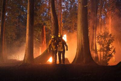 ‘Fire Country’ Renewed For Second Season By CBS - deadline.com - USA - California