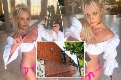 Britney Spears’ knife-dancing ‘saves’ struggling prop shop as fans rush to order fake blades - nypost.com - Los Angeles - Hollywood - California