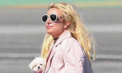 Britney Spears was recently pulled over and issued two violations - us.hola.com - California