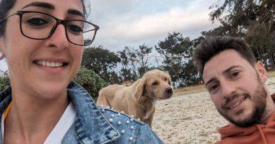 Couple ‘fell in love’ with stray dog on Mauritius honeymoon now raising £2k to rehome it in the UK - www.manchestereveningnews.co.uk - Britain - India - Germany - Mauritius - city Sandy