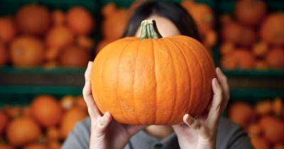 Supermarket is selling 75p pumpkins to help families celebrate Halloween on the cheap - www.manchestereveningnews.co.uk
