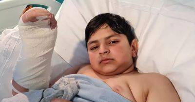 Family of boy in hospital after alleged dog attack tells of horrific injuries - www.dailyrecord.co.uk - Manchester