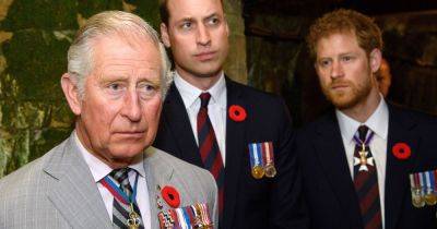 Prince Harry admits to leaving secret details out of tell-all memoir due to fear of William - www.dailyrecord.co.uk