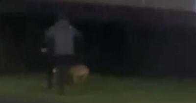Scots man kicks dog repeatedly in horrific attack after street row - www.dailyrecord.co.uk - Scotland