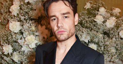 Liam Payne 'facing driving ban' as he 'apologises for speeding at 43mph in 30 zone' - www.ok.co.uk