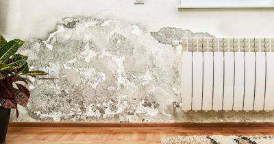 Builder shares major signs of damp in homes and how to prevent 'a lot of damage' - www.dailyrecord.co.uk - Britain