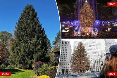 Rockefeller Center Christmas tree has been chosen — everything you need to know - nypost.com - New York - New York - Norway