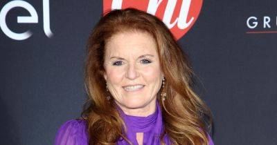 Sarah Ferguson stuns in purple gown amid 'talks for This Morning job after Holly exit' - www.ok.co.uk - USA - Italy - Rome