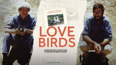 NBC News Studios Announces ‘Love Birds’ As Winner Of Original Voices Fellowship Grant - deadline.com - Spain - New York - New York - county San Diego