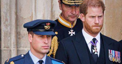 Prince Harry's blunt response to brother Prince William's reconciliation offer - www.ok.co.uk - South Africa