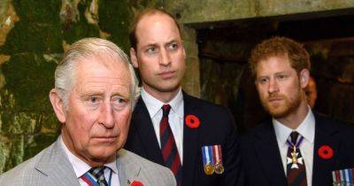 Prince William and Harry caused 'absolute nightmare' at King Charles' birthday - www.dailyrecord.co.uk - Charlotte