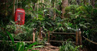 First look at ITV's I'm A Celebrity's 2023 camp including return of familiar face with twist - www.manchestereveningnews.co.uk - Australia - Manchester
