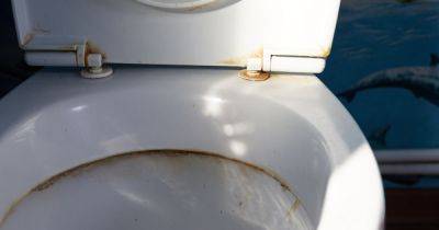 Cleaner shares 'brilliant' product to banish toilet limescale overnight - www.dailyrecord.co.uk