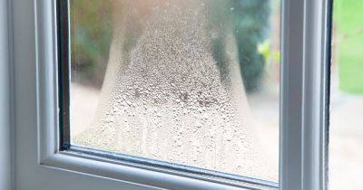 Simple 65p condensation hack that 'works wonders' to rid of water on windows - www.dailyrecord.co.uk