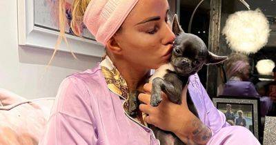 Katie Price gets 7th dog as she rescues puppy despite saying 'I can't have any more' - www.ok.co.uk - Germany