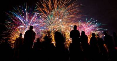 West Lothian MP calls for ban on sale of fireworks to public - www.dailyrecord.co.uk - Britain - Scotland