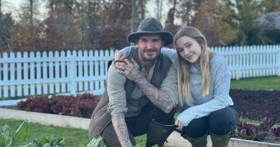 David Beckham spends quality time with daughter Harper, 12, as he posts sweet snap - www.ok.co.uk