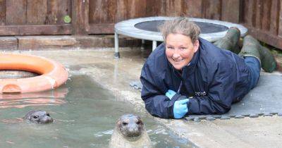 Animal lovers build rescue-seal hospital with swimming pool in bungalow garden - www.dailyrecord.co.uk - Britain - Scotland - Beyond