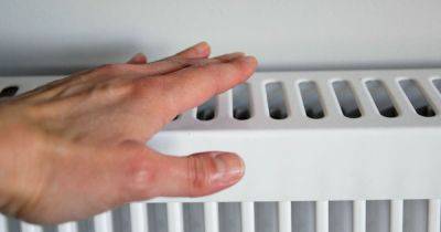 Plumber's radiator hack 'channels warmth' in your home to save on energy bills - www.dailyrecord.co.uk - Beyond