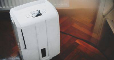 The common dehumidifier mistakes people make that 'wastes energy' - www.dailyrecord.co.uk - Britain