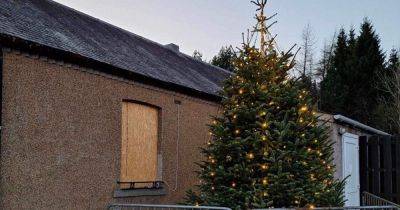 Angry residents slam 'Scotland's saddest Christmas tree' put up outside derelict village hall - www.dailyrecord.co.uk - Scotland - Beyond