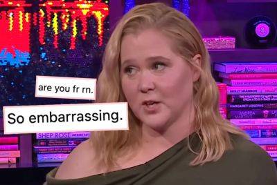 Amy Schumer ROASTED For Saying She's The 'Most Successful Female Comedian Of All Time' While Defending Her Israel Posts! - perezhilton.com - USA - Israel